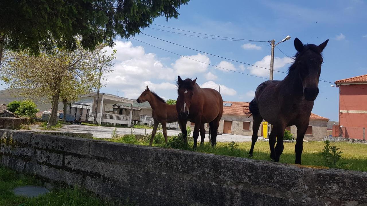Casa Do Norte Лама Экстерьер фото